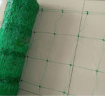Climbing Plant Support Netting Green / White For Greenhouse , Garden