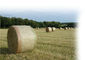 White Hdpe Anti Uv Bale Net Wrap For Farm To Storage Hay , Custom