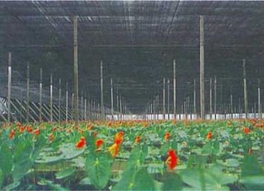 Outdoor Greenhouse Sun Shade Netting For Vegetable , Flower Growth