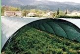 Dark Green , Black Sun Shade Netting , Hdpe Anti UV Agriculture Net