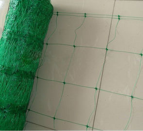 Green Plant Support Netting