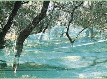 Hdpe Olive Harvesting Nets
