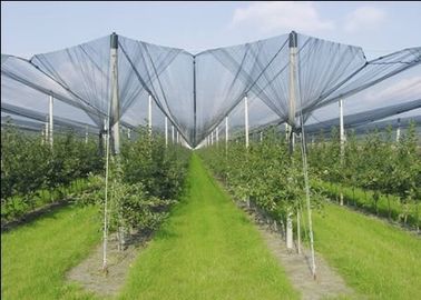 Agriculture Dark Green HDPE Anti Hail Nets , 10% - 20% Shade Rate