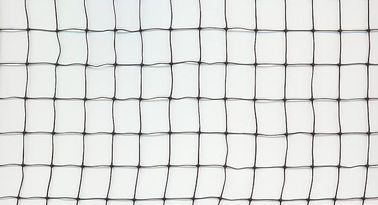 Extruded Square Mesh Anti Bird Netting Hdpe For Protecting Grape