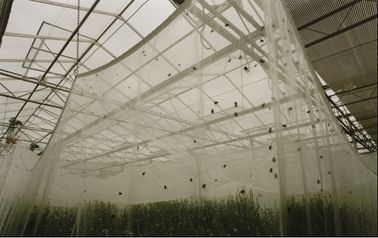 Plastic Garden Agriculture Anti Insect Netting , Plants Anti Insect Net