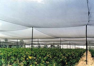 High Strength Anti Hail Agriculture Net , Hdpe Raschel Knitted Netting