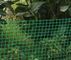 Green fenceNetting / Netting Animal Proof , Hdpe Anti Uv Square Mesh
