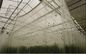 White HDPE Anti Insect Net , Anti Worm Net For Agriculture / Greenhouse