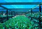Greenhouse Shade Net ，Agricultural Shade Cloth For Flower Farm